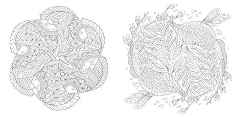 Animal Kingdom: Color Me, Draw Me (A Millie Marotta Adult Coloring Book) Union Square & Co.