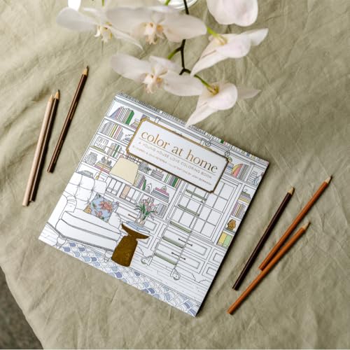 Color At Home: A Young House Love Coloring Book