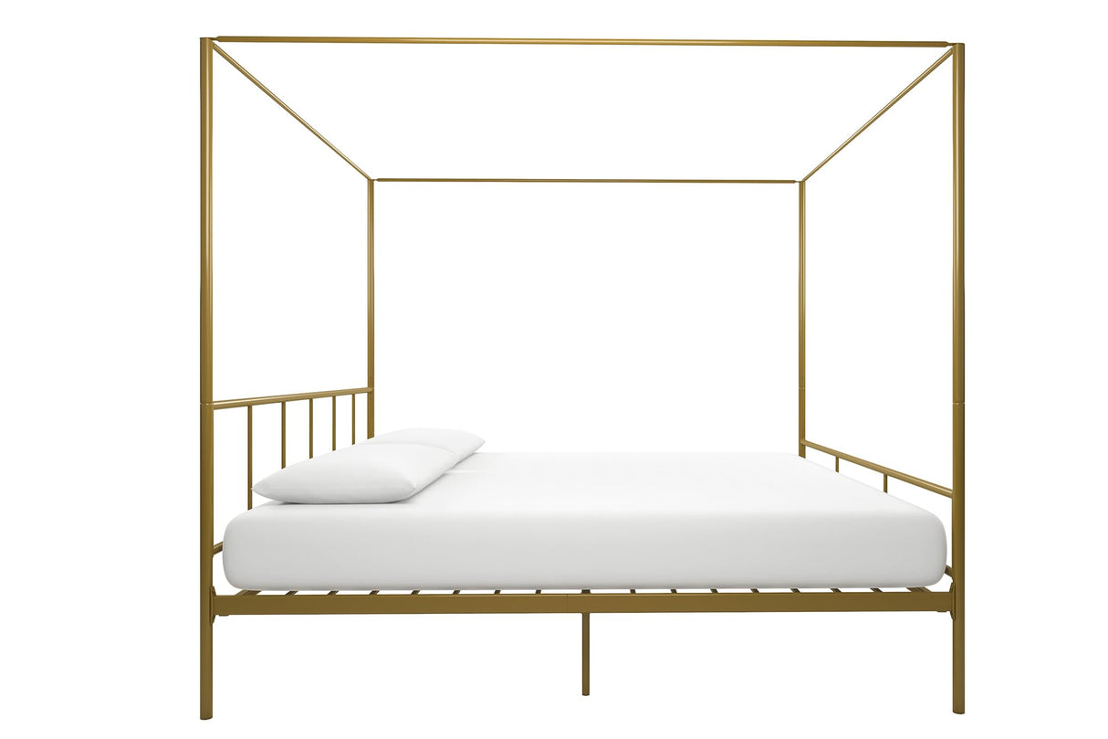 Novogratz NA Novogratz