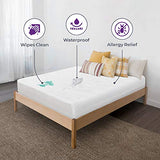 BLISSFORD Plastic Mattress Protector Zippered King, Waterproof Vinyl Mattress Cover, Heavy Duty Noiseless Mattress Encasement BLISSFORD