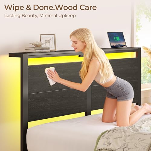 Rolanstar Full Size Bed Frame with Charging Station, LED Full Bed Frame with Wood Storage Headboard, Platform Bed with Metal Slats & Under Bed Storage, No Box Spring Needed, Noise Free, Black Oak Rolanstar
