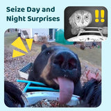 NETVUE Birdfy Lite - Smart Bird Feeder with Camera, Bird Watching Camera, Auto Capture Bird Videos & Motion Detection, Wireless Camera Ideal Gift for NETVUE