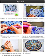 DIY Diamond Painting Kits for Adults Kids, 5D Diamond Art, Full Drill Crystal Rhinestones for Crafts, HUANNY ® Home Office Décor HUANNY