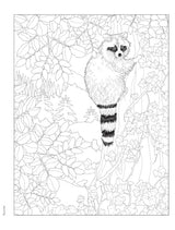 Creative Haven Forest & Woodland Wildlife Coloring Book (Adult Coloring Books: Animals) WoodArtSupply