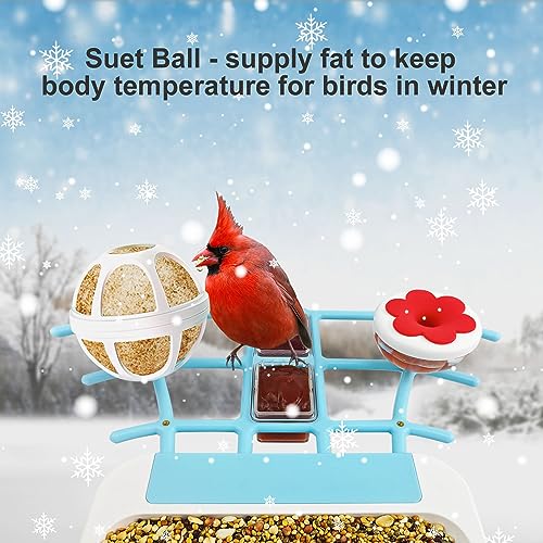 Kadymay Smart Bird Feeder with Camera Solar Powered, 1080P HD Live Video &Playback on Phone, AI Identify +10,000 Bird Species, 2.4G WiFi Bird Feeder Kadymay