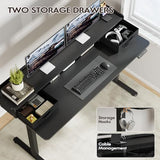 Furmax Electric Standing Desk with Drawers, Stand Up Desk with Storage Shelf Height Adjustable Computer Desk with Organizer for Home Office Ergonomic (Black, 55 Inch) Furmax