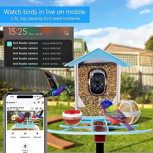 Kadymay Smart Bird Feeder with Camera Solar Powered, 1080P HD Live Video &Playback on Phone, AI Identify +10,000 Bird Species, 2.4G WiFi Bird Feeder Kadymay
