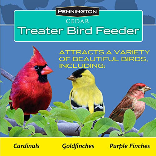 Pennington Cedar Treater Bird Feeder 2 Pounds - WoodArtSupply