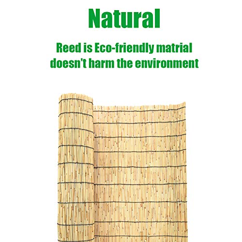 Mininfa Natural Reed Fencing, Eco-Friendly Reed Fence, 4 feet High x 13 feet Long, Reed Screen for Garden, Privacy Mininfa