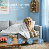 DOWNFORT Queen Cooling Comforter with Tencel™ Fill for Hot Sleepers & Night Sweats - Lightweight, Breathable, Double-Sided Cold Blanket All Season Thin Bedding (White, Full 90"x 90") DOWNFORT