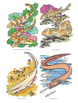 Sharks of the World Coloring Book (Dover Sea Life Coloring Books) Dover Publications