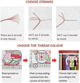 Bookshelf Stamped Cross Stitch Kits - Magical Book Counted Cross Stitch Kits for Beginners Adults Skull Needlepoint Cross-Stitch Patterns Dimensions Needlecrafts Embroidery Kits Arts and Crafts