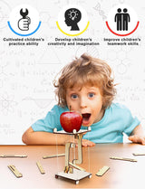 6 in 1 STEM Kit, Science Experiment STEM Projects Educational 3D Wooden Puzzle, DIY Toys Building WoodArtSupply