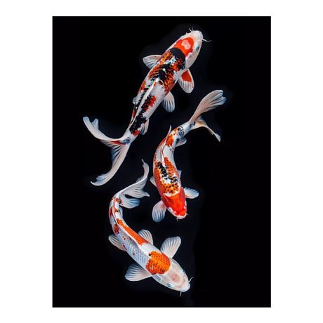 Diamond Art Kit for Adults, Tricolor Koi Fish Trio Diamond Painting for Adults Beginners, 5D DIY Diamond Art Painting Kits Craft for Home Wall Decor 12x16 Inch No Frame Tryadren