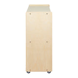 RRI Goods 2 Shelf Montessori Horizontal Bookcase with Wheels (47" Width) |Bookshelf - Toy Storage Organizer, Arts, Crafts & Supplies Storage Unit for Home, Office, Classroom, Daycare RRI Goods