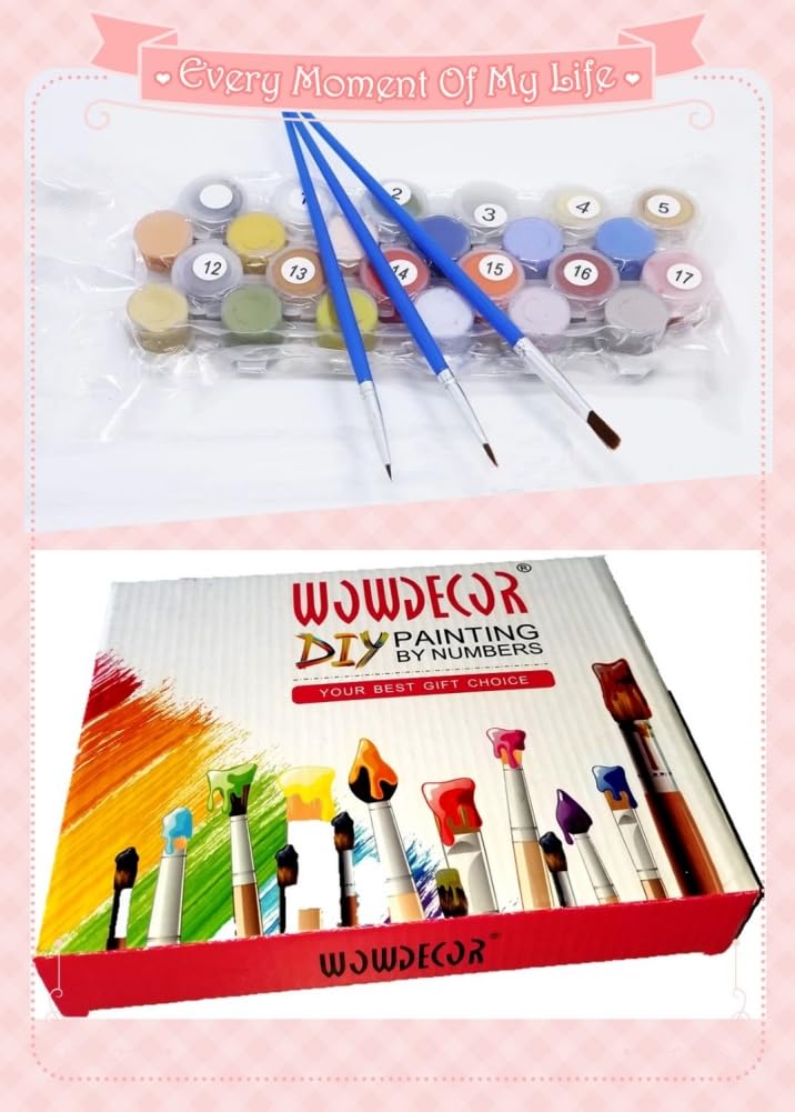 Wowdecor Paint by Numbers Kits for Adults Kids, DIY Number Painting - Starry Night by Van Gogh Beautiful Sky 40 x 50 cm Stamped Canvas (No Frame) Wowdecor