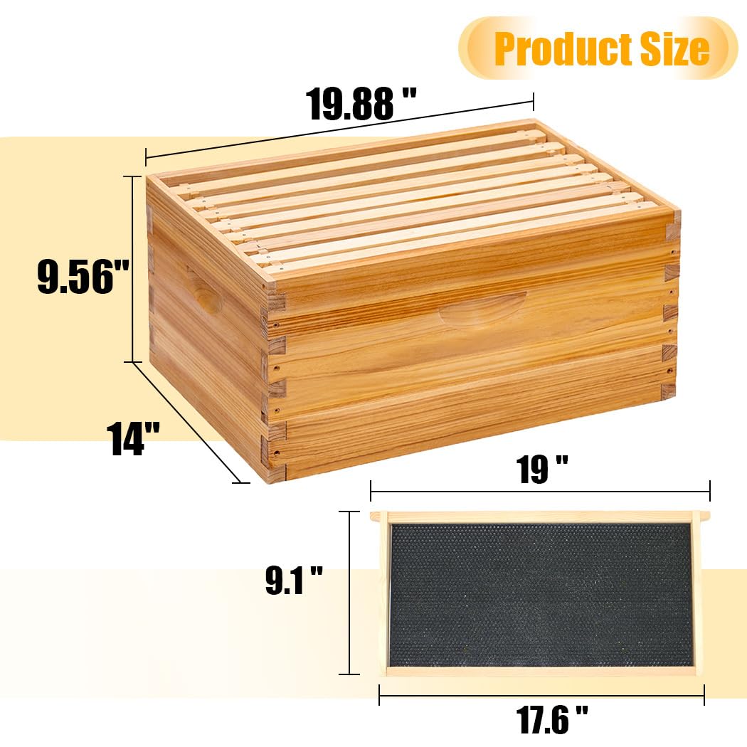 Honey Lake 8 Frame Bee Hive Kit, Langstroth Bee Hives Boxes Starter Kit for Beekeepers Dipped in 100% Beeswax Includes 2 Deep Brood Box & 1 Medium Super Bee Box with Beehive Frames and Founda - WoodArtSupply