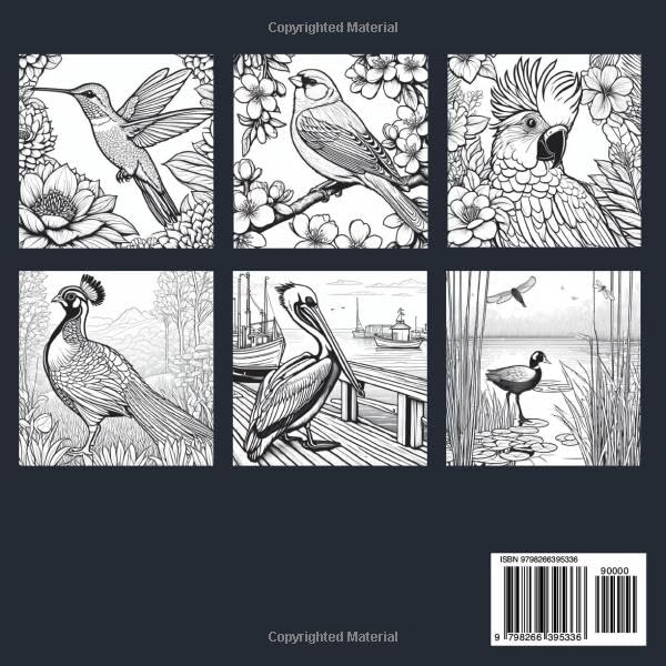 Mindfulness Coloring Book: Birds & Nature Scenes for Adults to Relax and Unwind Majosta