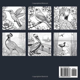 Mindfulness Coloring Book: Birds & Nature Scenes for Adults to Relax and Unwind Majosta