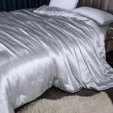 PNAWLLCF Silk Quilts Blanket Twin Queen Size Satin Bedding Comforter for Single Bed Cover Duvets PNAWLLCF
