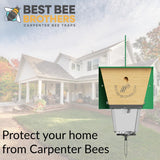 Best Bee Brothers Ultimate Pro Carpenter Bee Trap for Outside with Extra-Large, Clear External Bee Vault & Spring-Loaded Door, 4.2” D x 5.8” W x 7.5” H Best Bee Brothers