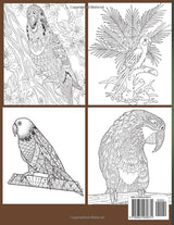 Parrots & Parakeet Acults coloring: An adults Parrots & Parakeet's Coloring Book With Best Parrots & Parakeet's Design For Stress Reliving And Relaxing) Majosta