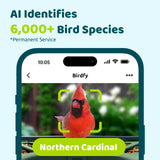 Birdfy 2 Smart Bird Feeder 3 Lenses & 2 Cameras, Dual Angles, Solar-Powered, Wireless Birdwatching, Permanent AI Identify 6000+ Bird Species & Motion Detection, Gift Present Birdfy