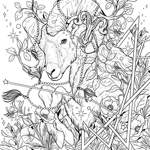 Mythographic Color and Discover: Cosmic Spirit: An Artist's Coloring Book of Tarot, Astrology, and Mystical Symbols WoodArtSupply