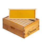 BeeCastle 8 Frame Medium Super Bee Hive Box, Langstroth Honey Bee Hive Dipped in 100% Beeswax Include Beehive Frames and Wax Foundations (Unassembled) BeeCastle