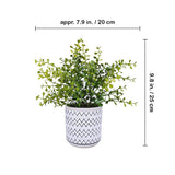 Winlyn 2 Pack Small Potted Eucalyptus Plant Artificial Plants Green Boxwood Rosemary Greenery in Modern Concrete Plant Pots Winlyn