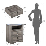 Night Stand Set of 2, Nightstands with LED Light, End Table Bedside Table with Wood Drawers, for Living Room, Bedroom, Sofa, Gray HolliWill