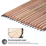 Drawing Pencils, Sketch Pencils Graphite 12B 8B 7B 6B 5B 4B 3B 2B B HB 2H and Charcoals Art Supplies for Sketching and Drawing,Pencil Set for Artists or Kids SouthStar