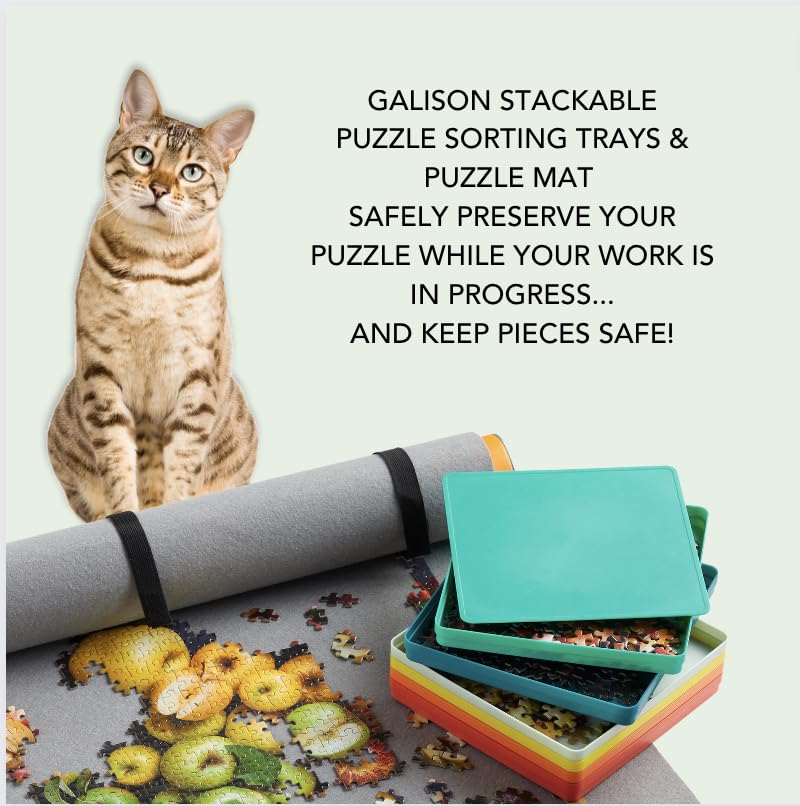 Puzzle Sorting Tray Set Galison