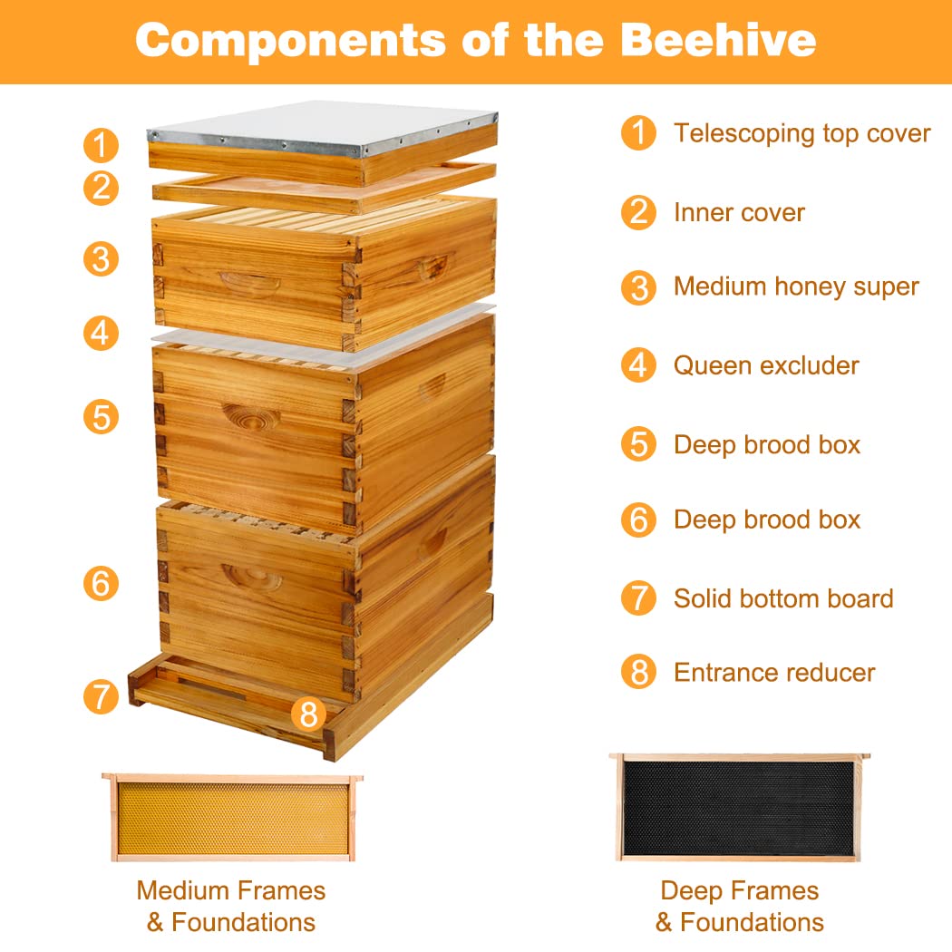 Honey Lake 8 Frame Bee Hive Kit, Langstroth Bee Hives Boxes Starter Kit for Beekeepers Dipped in 100% Beeswax Includes 2 Deep Brood Box & 1 Medium Super Bee Box with Beehive Frames and Foundations Honey Lake