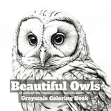 Beautiful Owls: Grayscale Coloring Book with 40 Stunning Images of Realistic Owls Majosta