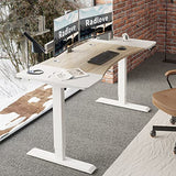 Radlove Dual Motor Height Adjustable Standing Desk, 63 x 30 Height Adjustable Computer Desk Sit Stand Desk Home Office Desks with Splice Board 265 lb Load Capacity White Frame + White Top Radlove
