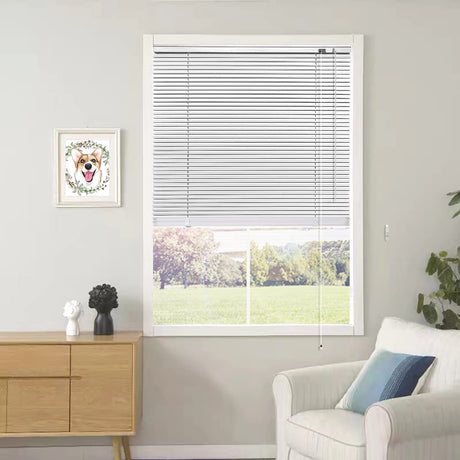 YIIBAII Mini Blinds Suitable for 25" W x 64" H Windows 1" Aluminum Horizontal Venetian Blinds Darkening with Rope and Pole can Mounted Inside or Outside YIIBAII