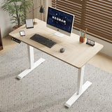 HEONAM 48 Inch Electric Standing Desk with USB Charging Port, Height Adjustable Sit Stand Desk with Memory Presets, Spacious Desktop and Sturdy Metal Frame for Home Office HEONAM