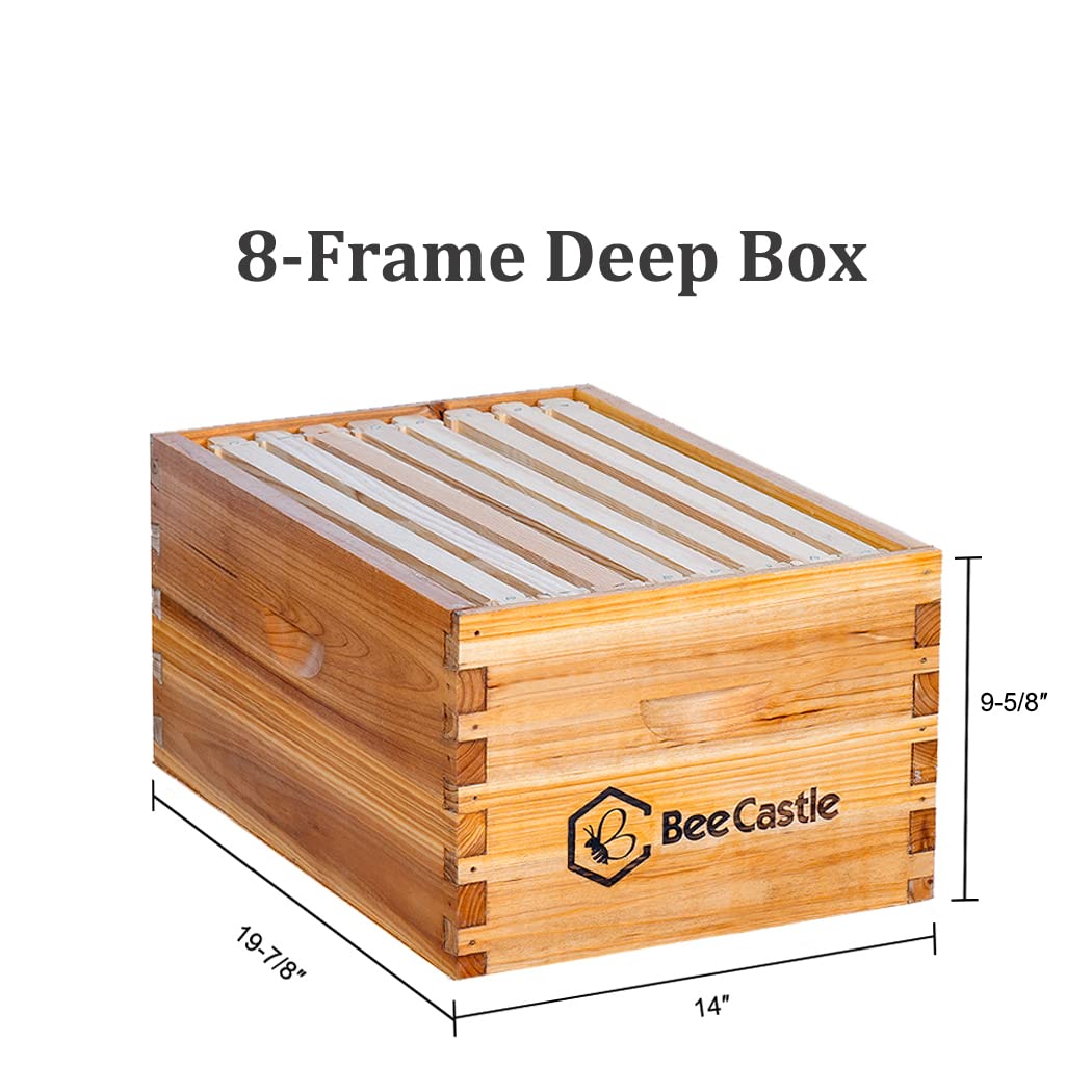 BeeCastle 8 Frame Langstroth Bee Hive Coated with 100% Beeswax Includes Beehive Frames and Waxed Foundations (1 Deep Box & 1 Medium Box) BeeCastle