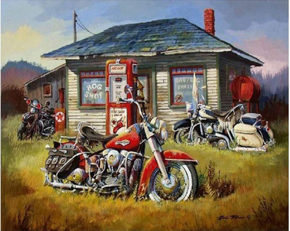 ABEUTY DIY Paint by Numbers for Adults Beginner 16x20 inches Number Painting Home Decoration Crafts (No Frame, Motorcycle) ABEUTY