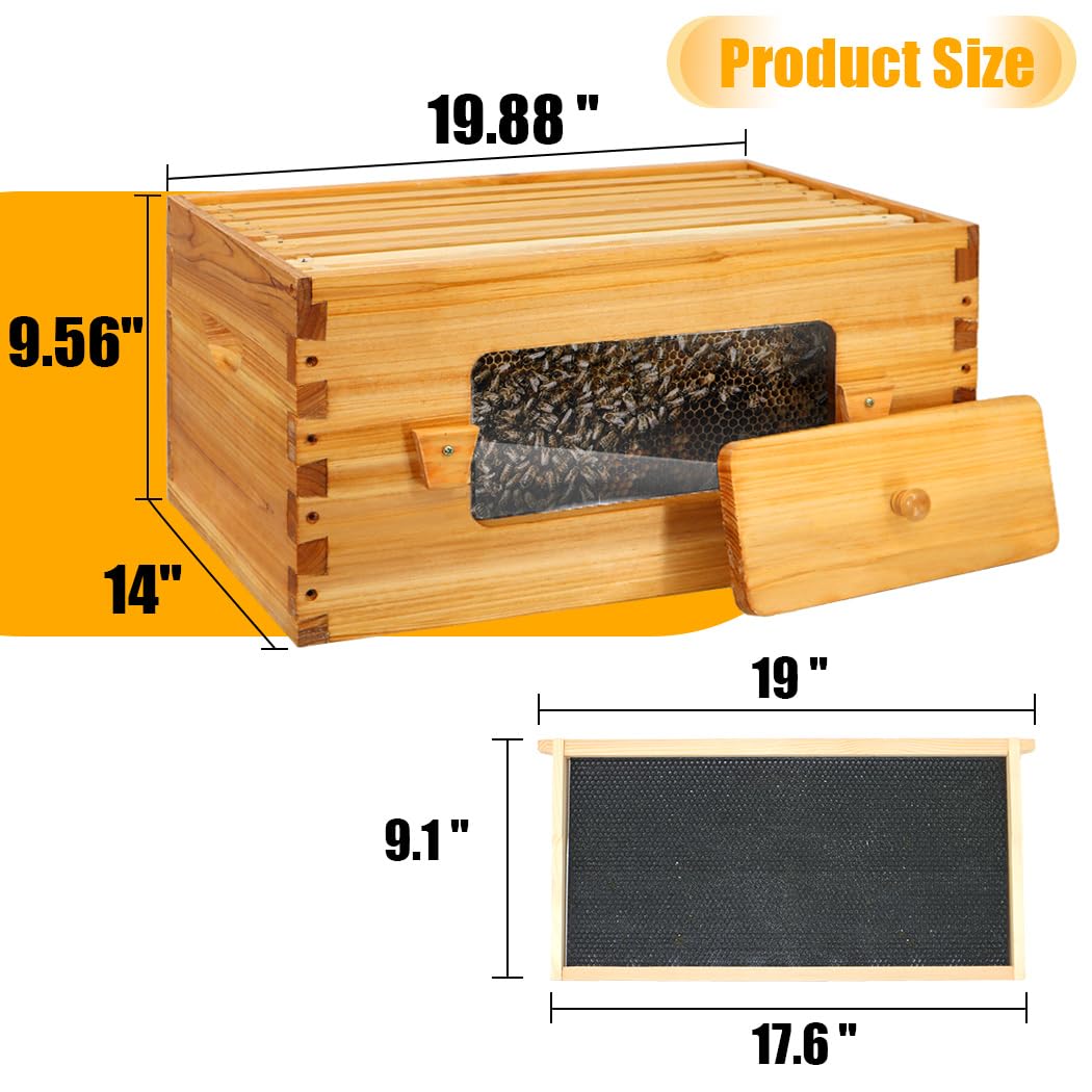 Honey Lake Bee Hive with Windows, 8 Frame Langstroth Complete Beehive Starter Kit Dipped in 100% Beeswax with Beehive Frames and Waxed Foundations (1 Deep Brood Bee Hive Box & 1 Medium Super Bee Box) Honey Lake