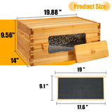 Honey Lake Bee Hive with Windows, 8 Frame Langstroth Complete Beehive Starter Kit Dipped in 100% Beeswax with Beehive Frames and Waxed Foundations (1 Deep Brood Bee Hive Box & 1 Medium Super Bee Box) Honey Lake