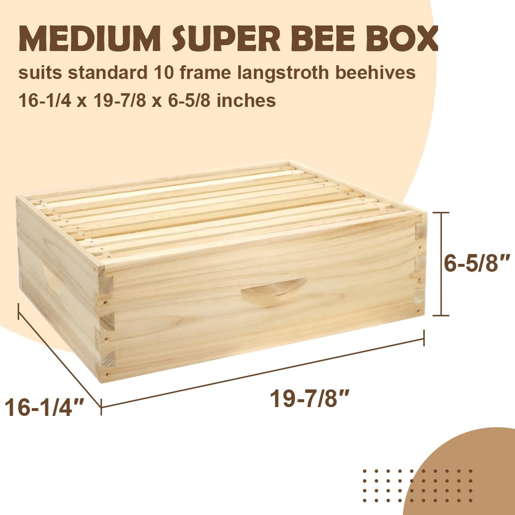 BEEINN 10 Frame Bee Hive, Compelte Bee Hive Starter Kit Includes 1 Deep Brood Honey Bee Hives Box, 1 Medium Super Bee Box with Beehive Frames and Foundation Sheets - WoodArtSupply