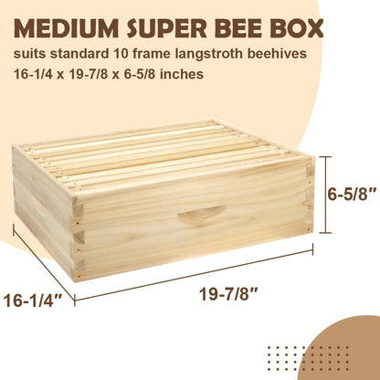 BEEINN 10 Frame Bee Hive, Compelte Bee Hive Starter Kit Includes 1 Deep Brood Honey Bee Hives Box, 1 Medium Super Bee Box with Beehive Frames and Foundation Sheets - WoodArtSupply