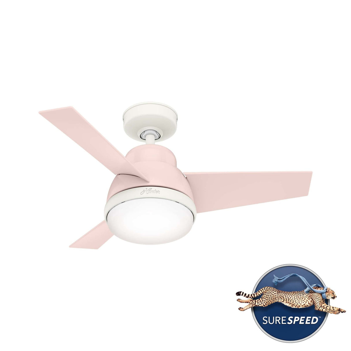 Hunter Valda Indoor Ceiling Fan with LED Light and Remote Control, 36", Blush Pink Hunter