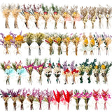 Tinideya 48 Pcs Dried Flowers Bouquet Boho Mini Dried Flower with Stem Small Dried Floral Plants Mixed Natural Flowers Bundles for Crafts Vase DIY Photo Props Wedding Decoration Tinideya