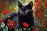 Generic Garden Black Cat, 5D Diamond Painting Kits - Exquisite Full Circle Gemstone Fine Rhinestone Art Kit for Beginners and Kids, for Room Decor & Wall Decor (8 X 12 Inch) RMSGOZO
