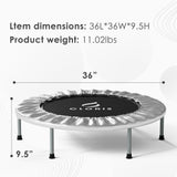 CLORIS 36'' Foldable Fitness Trampoline - Max Load 170lbs, Rebounder Indoor/Outdoor Fitness Body Exercise (Silvery) CLORIS