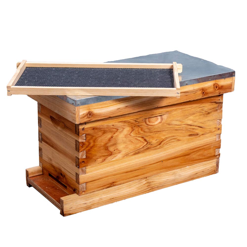 MayBee 5-Frame Nuc Beehive for Bees Complete Bee Hive Box Kit with Metal Roof Includes Wooden Frames & Waxed Foundations for Langstroth Beekeeping MayBee