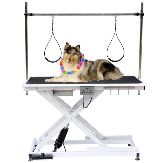 ACIDBOLT 50 Inch Electric Grooming Table for Large Dogs, Heavy Duty Height Adjustable Collapsible Extra Large Pet Grooming Station with Overhead Arms, Two Nooses & Anti Slip Tabletop, White